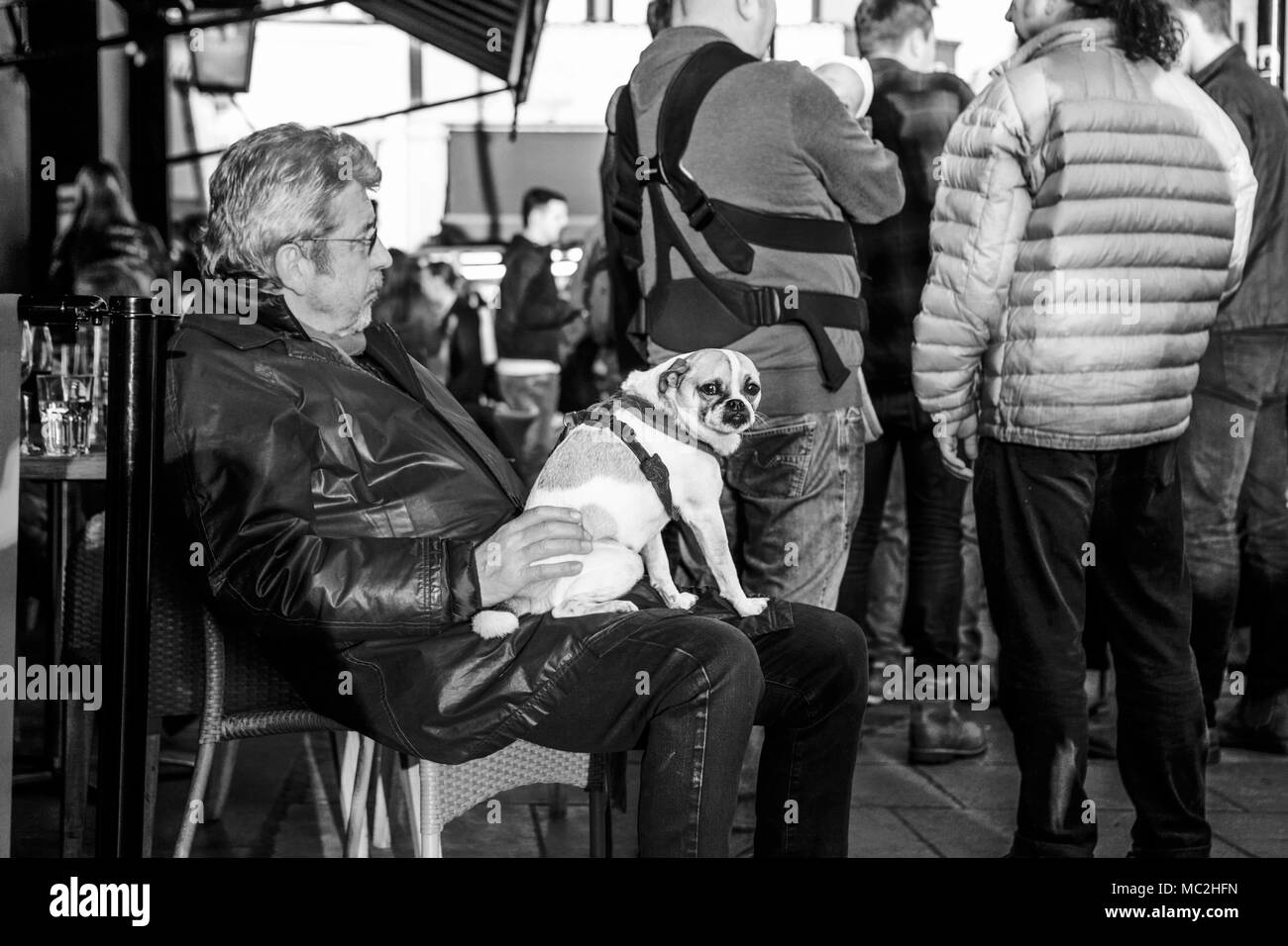 Compañerismo - viejo pensionista pensionista, propietario de perro, con un pequeño perro de compañía. Foto de stock