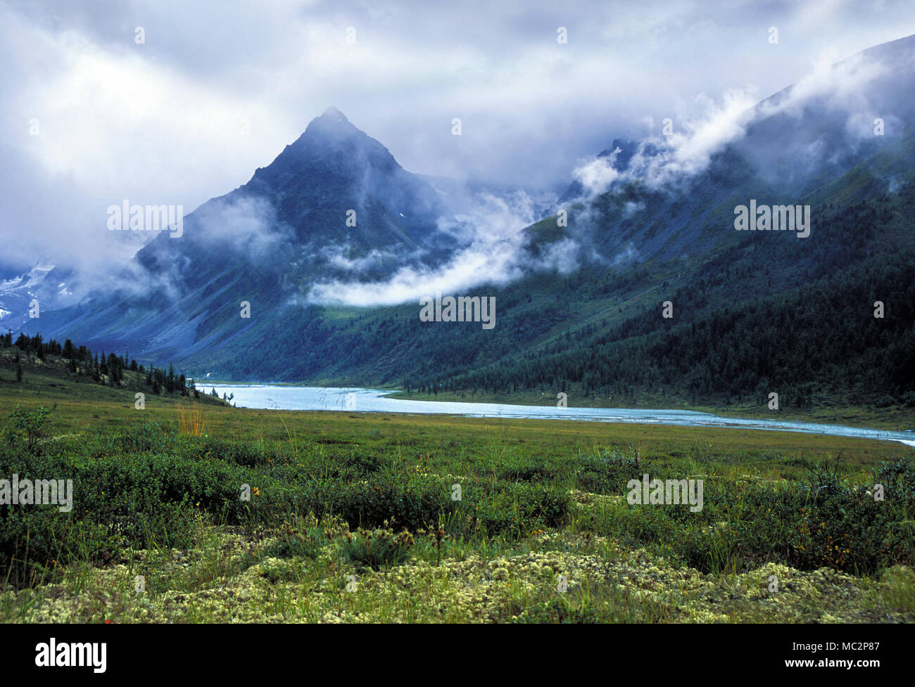 El pico de la montaña en las nubes cruzando el río. Ak-kem valley , Altai Foto de stock