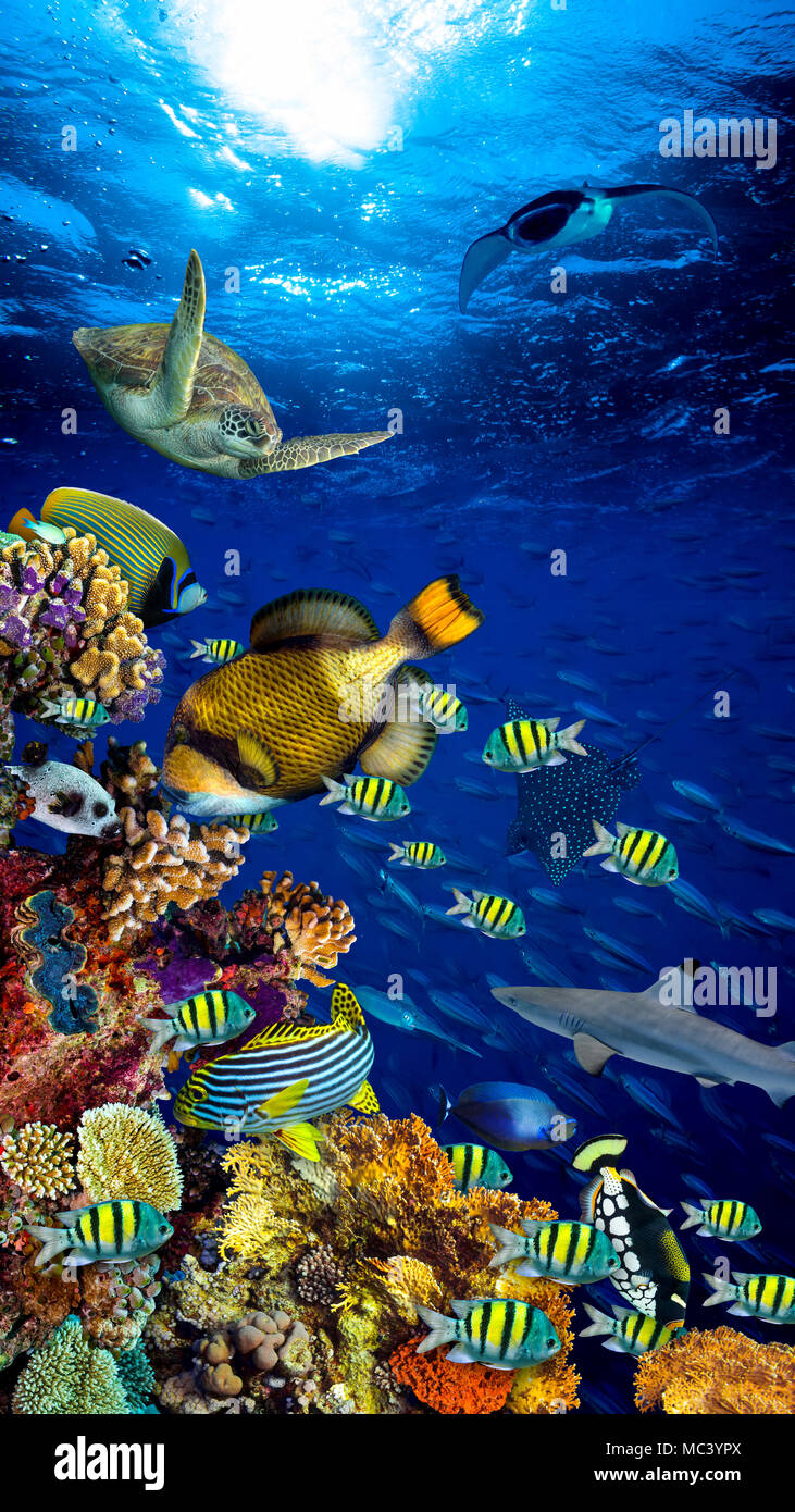 Paisaje de arrecifes de coral submarino en el océano azul profundo, con coloridos peces y vida marina de formato vertical de fondo de pantalla del smartphone Foto de stock