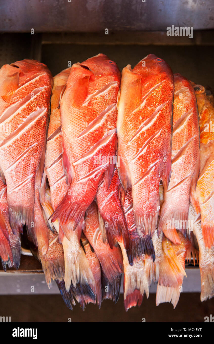Para la venta de pescado en el mercado de pescado en Ensenada, Baja