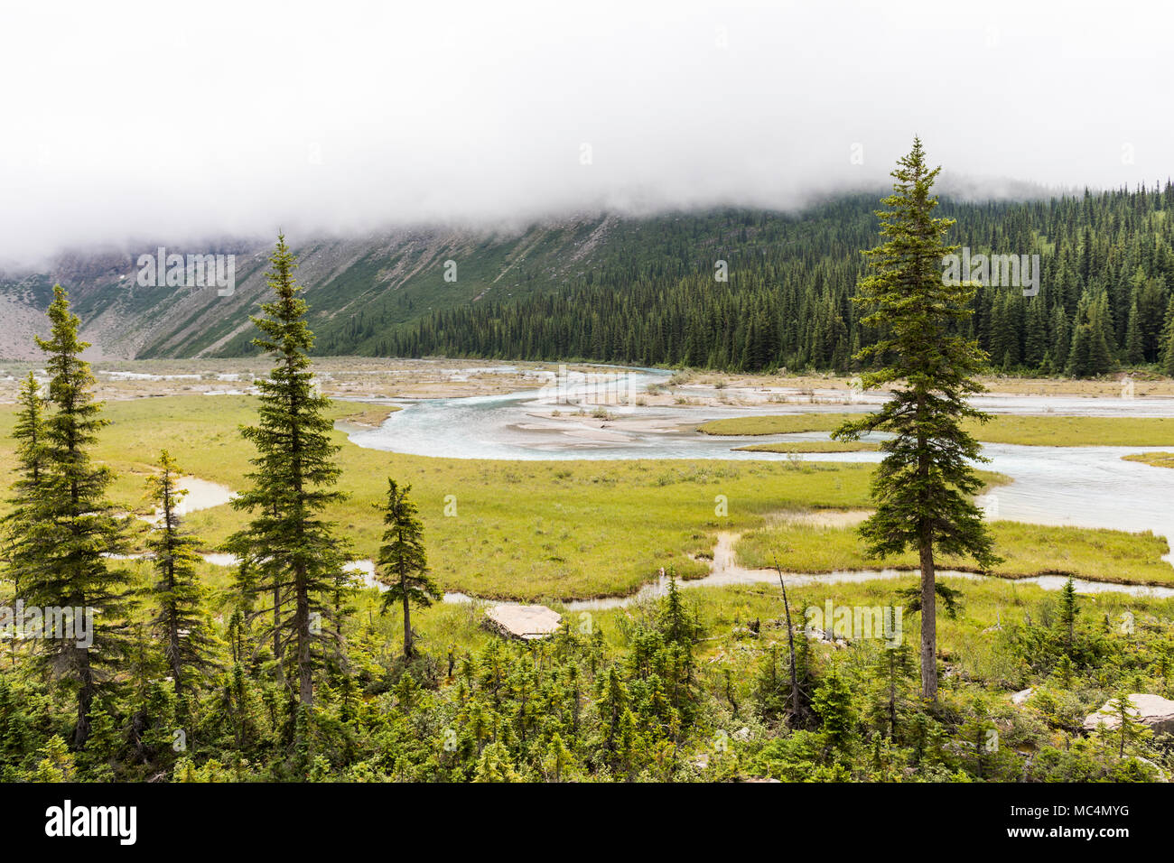 Trenzado Río Robson, Berg Lake Trail, Monte Robson Provincial Park, Columbia Británica, Canadá Foto de stock