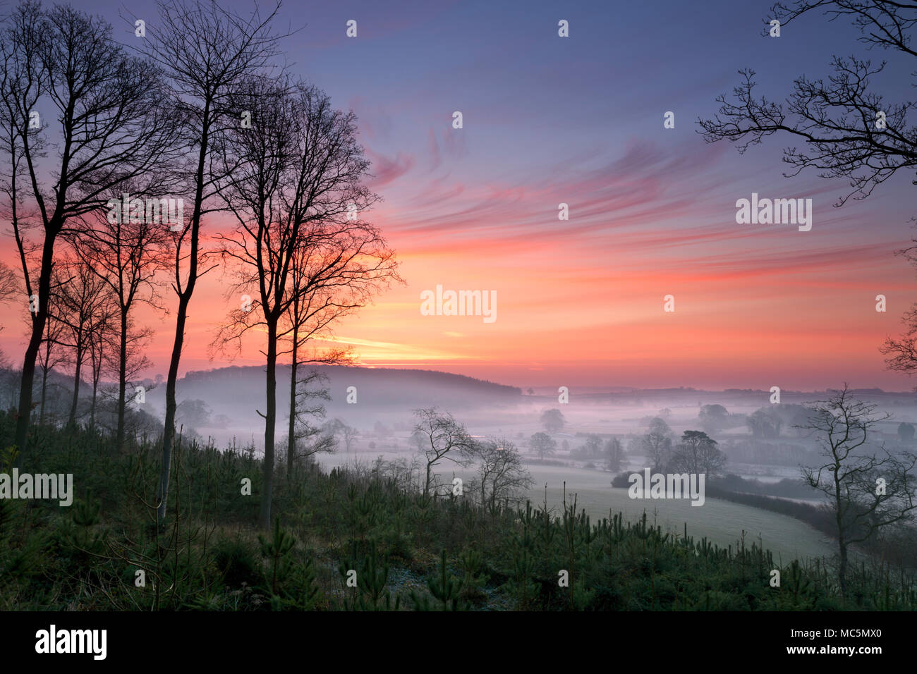 Un cielo rojo y borrado de niebla helada sobre los campos cerca de Hovingham village en North Yorkshire REINO UNIDO Foto de stock