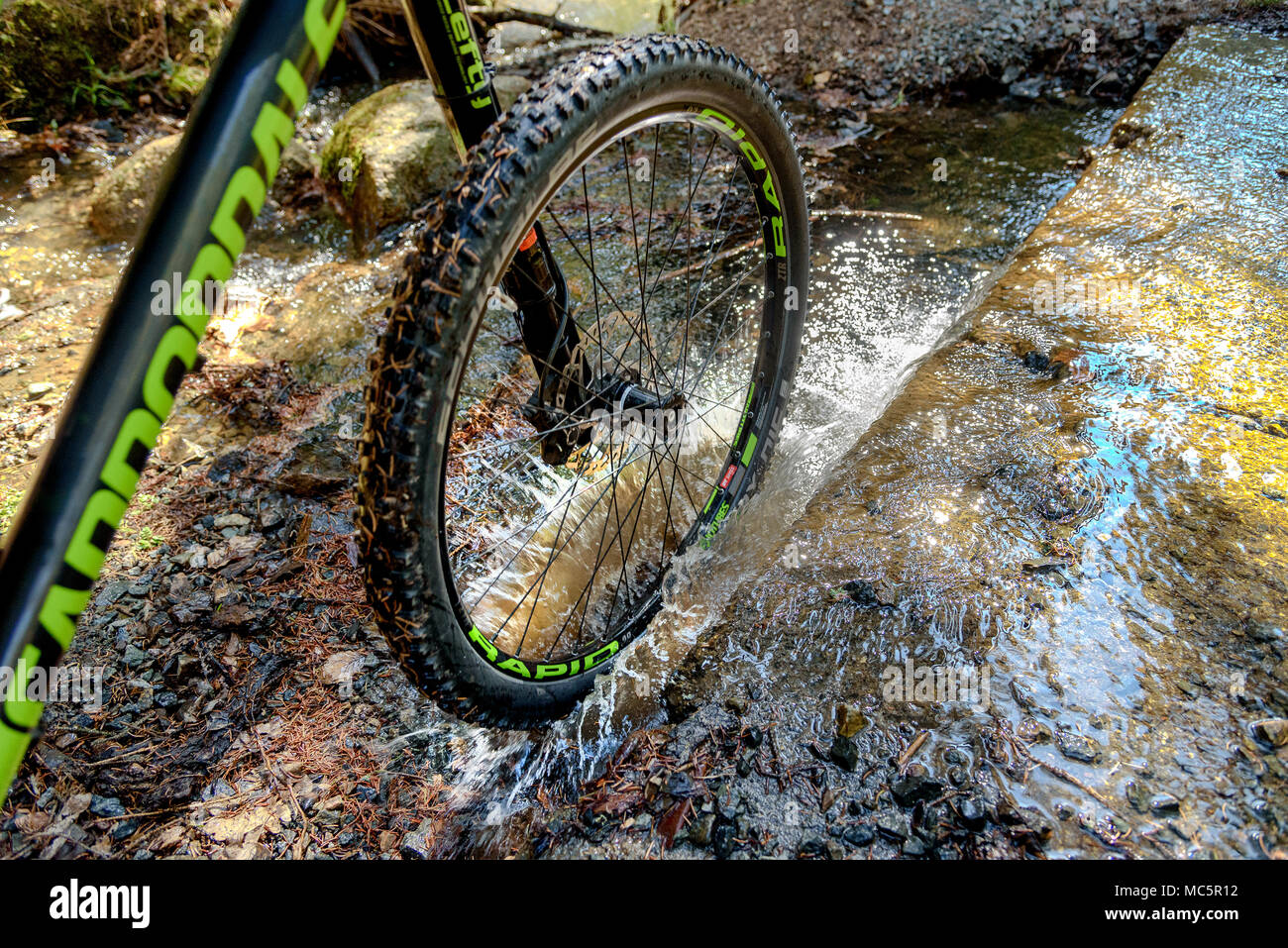 Mountain Bike en la naturaleza Foto de stock