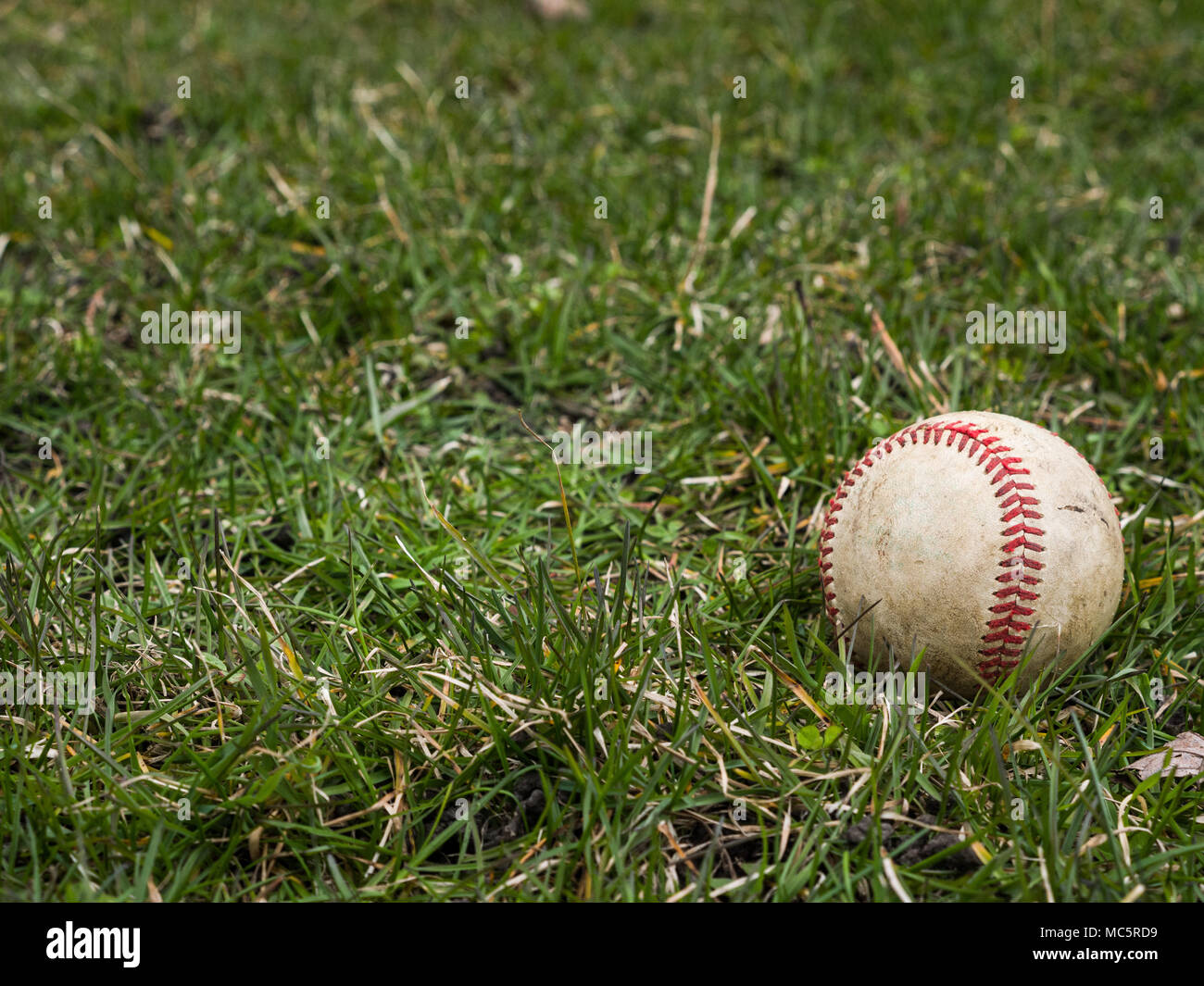 Imagen de fondo deportivo cerca de un antiguo utilizado piel gastada pelota de béisbol poniendo en el campo de hierba fuera mostrando detalles intrincados y textura Foto de stock