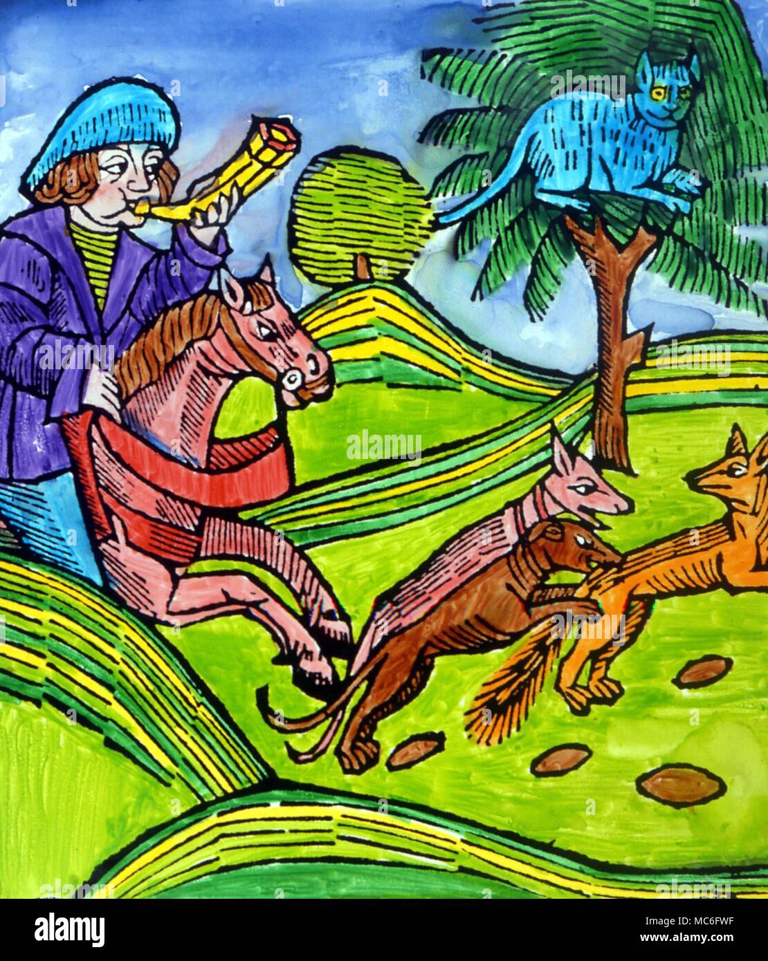 Cat y Fox - Ilustración (siglo xvi) a la fábula de Esopo acerca del gato y el zorro Foto de stock