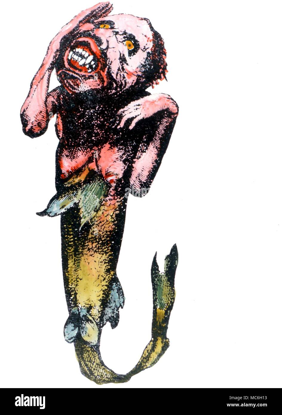 Monstruos. - Probablemente merman hechas desde una cola de pez y un mono-jefe: aparece en la mitad del siglo XIX por el empresario, de Barnum Foto de stock