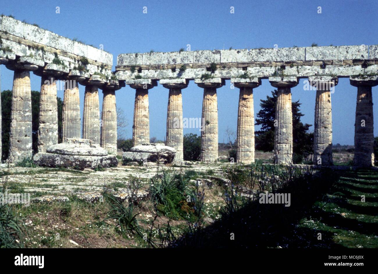 La mitología griega Paestum, uno de los tres antiguos templos griegos en la antigua colonia griega, ahora llamado Paestum, en la costa oeste de Italia, el templo de Hera Foto de stock