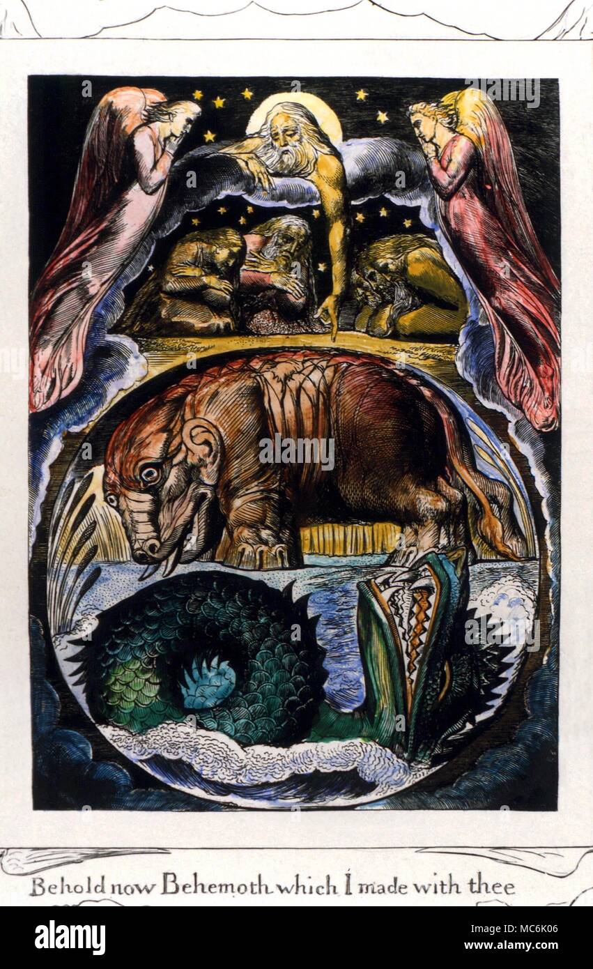 Los demonios - Behemoth y Leviatán. Grabado de William Blake como uno de sus ilustraciones para el libro de Job (1825). El hipopótamo-como criatura es Behemoth, el leviatán serpiente enroscada Foto de stock
