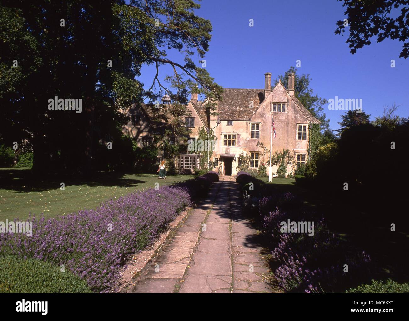 La lavanda en el jardín formal al frente de Avebury Manor, Wiltshire Foto de stock