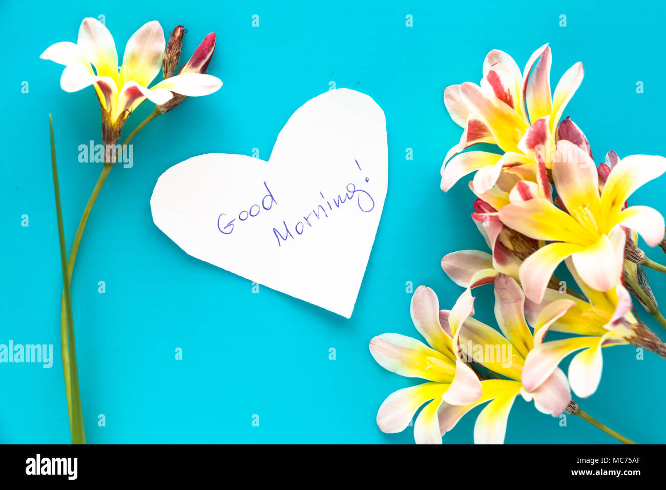 Nota en forma de corazón con palabras de buena mañana, con flores de color  azul de la superficie Fotografía de stock - Alamy