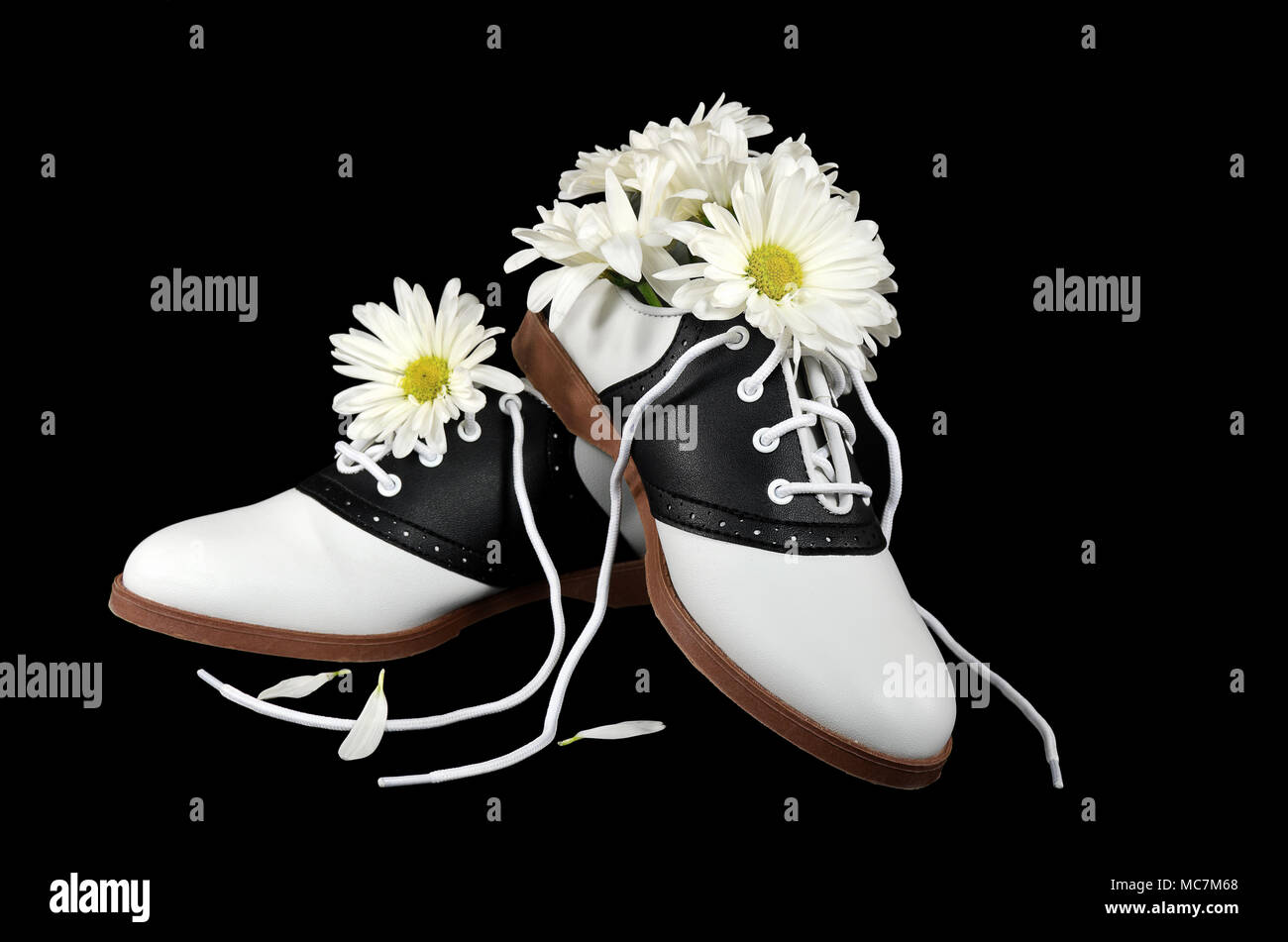 Daisy on shoe fotografías e imágenes de alta resolución - Alamy