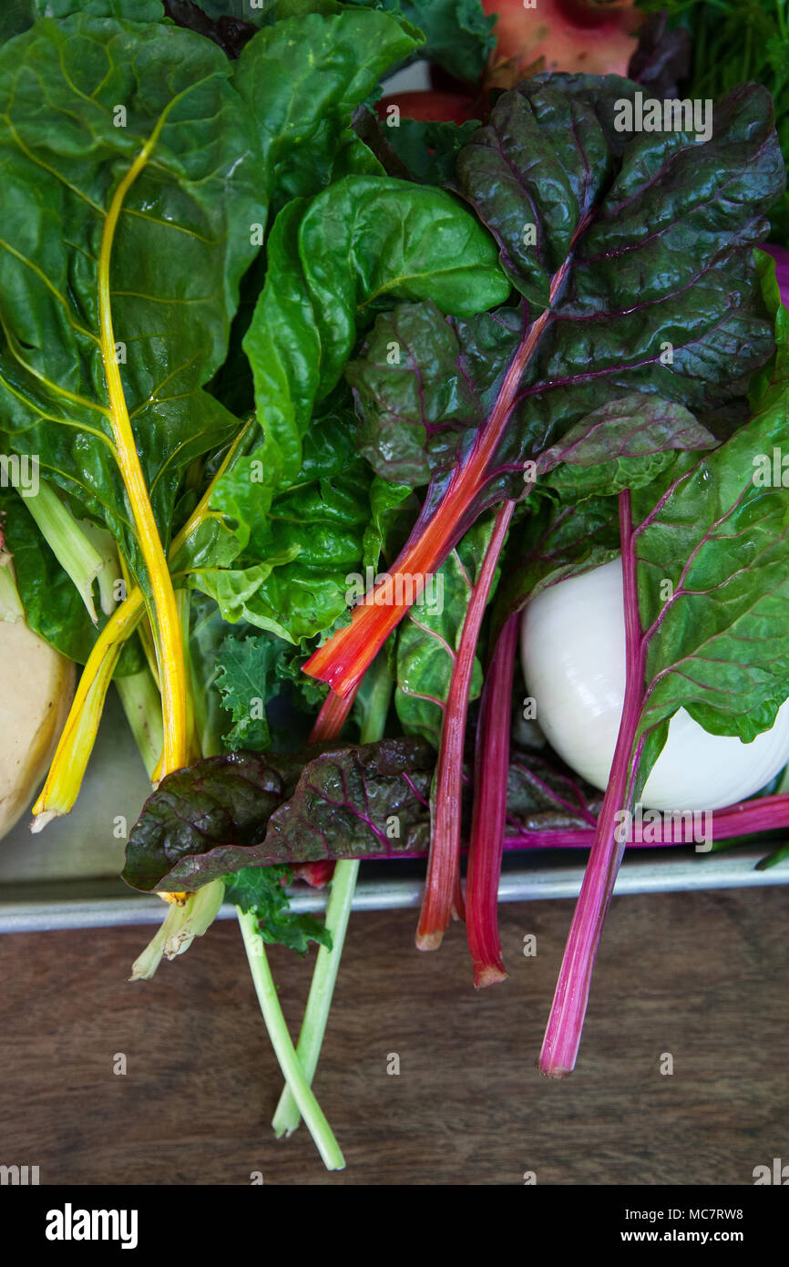Los vegetales de hojas verdes Manzanilla, Ensenada, Baja California