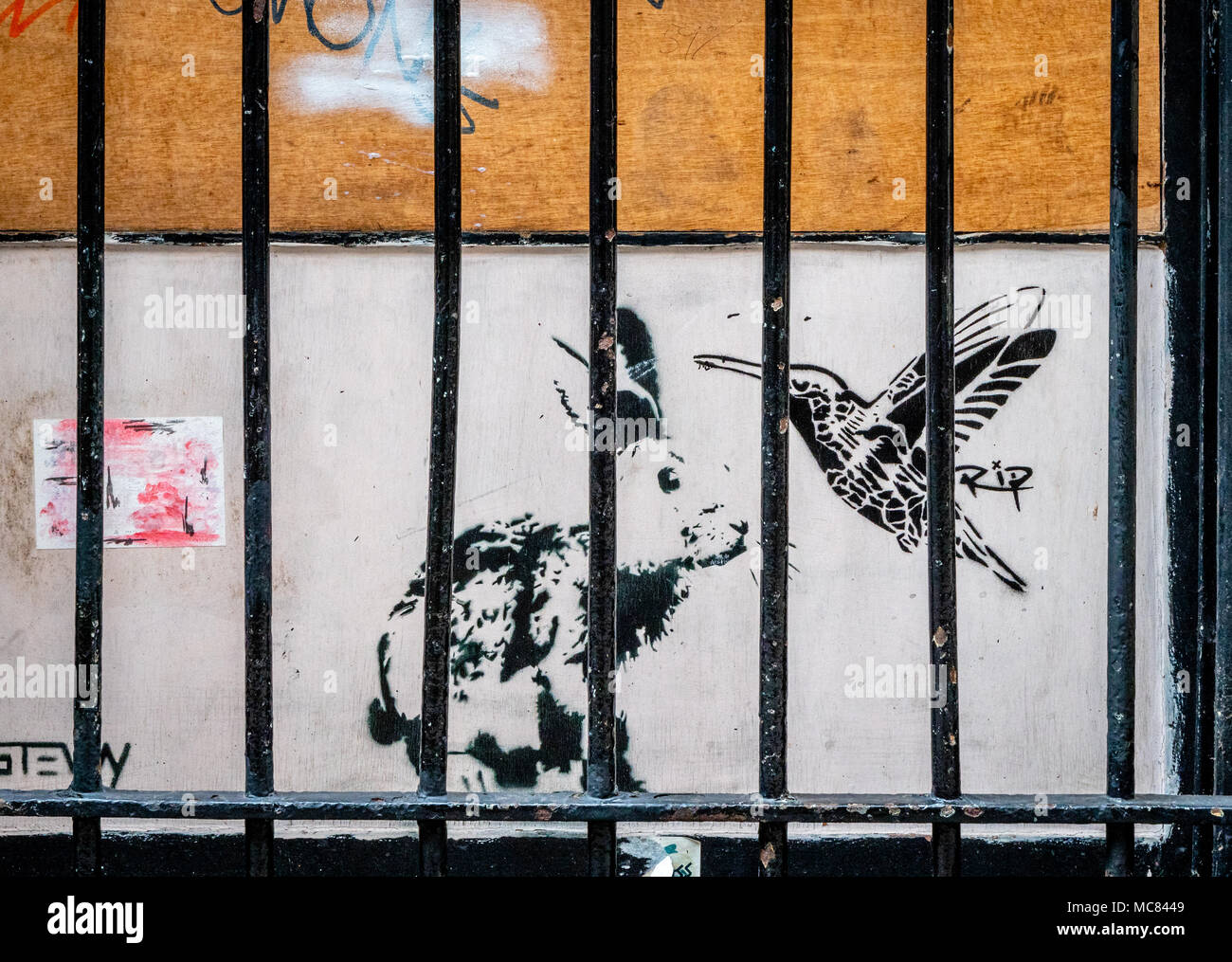 Arte en la calle con un conejo y colibrí tras las rejas en un estrecho callejón en el centro de Bristol UK Foto de stock
