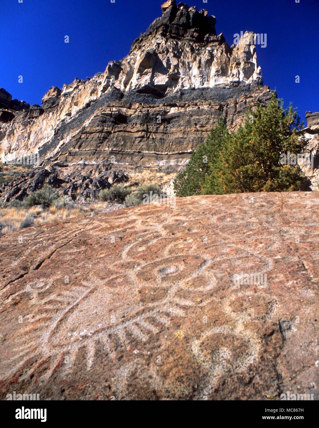 Indios NORTEAMERICANOS indios norteamericanos petroglyph, consistente de un insecto-como criatura, tallado en una piedra en Crooked River, cerca de Culver, Oregón, EE.UU. Foto de stock