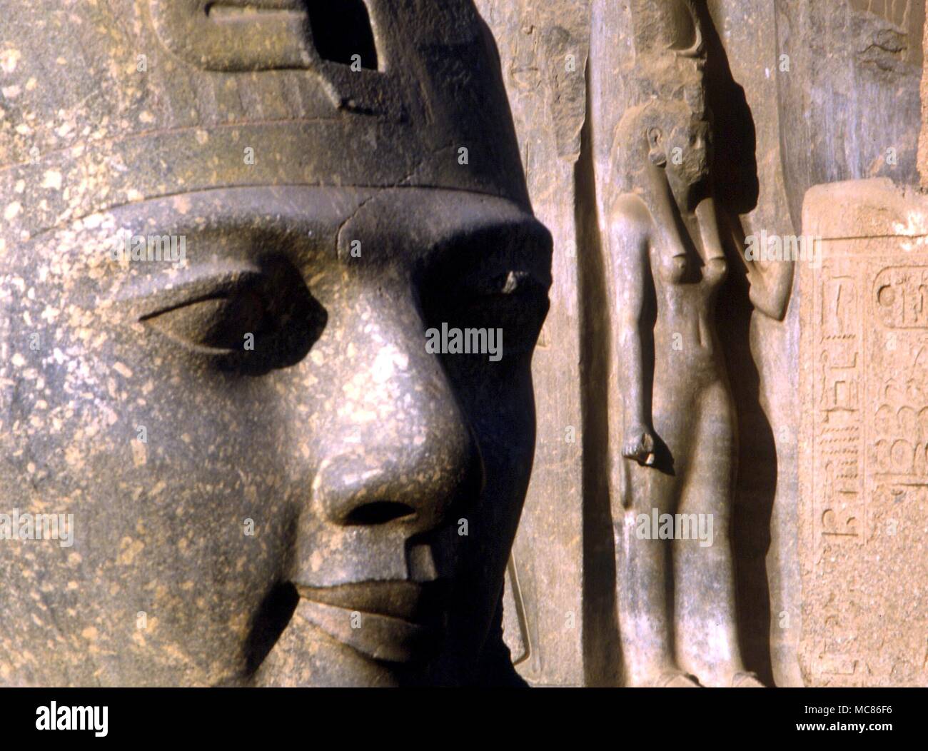 Gigantesca cabeza del faraón Ramsés II fuera del templo en Luxor, Egipto Foto de stock