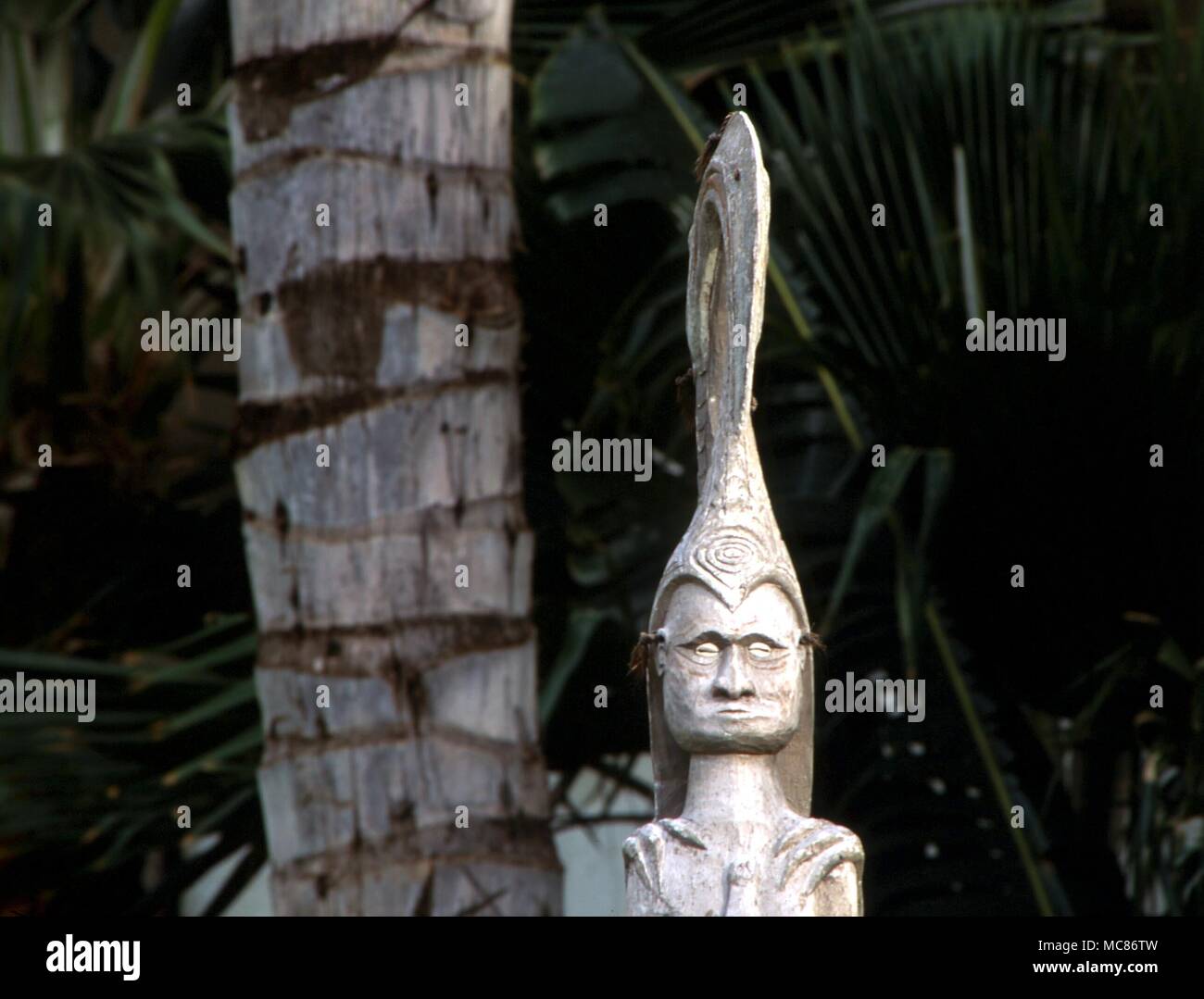 La mitología Polynesian obtener más información de la polinesia estatua, en colección privada en el Iseland de Kauai, Hawaii. Nota El uso de caracoles para ojos - tienen un valor amuletic cowries Foto de stock