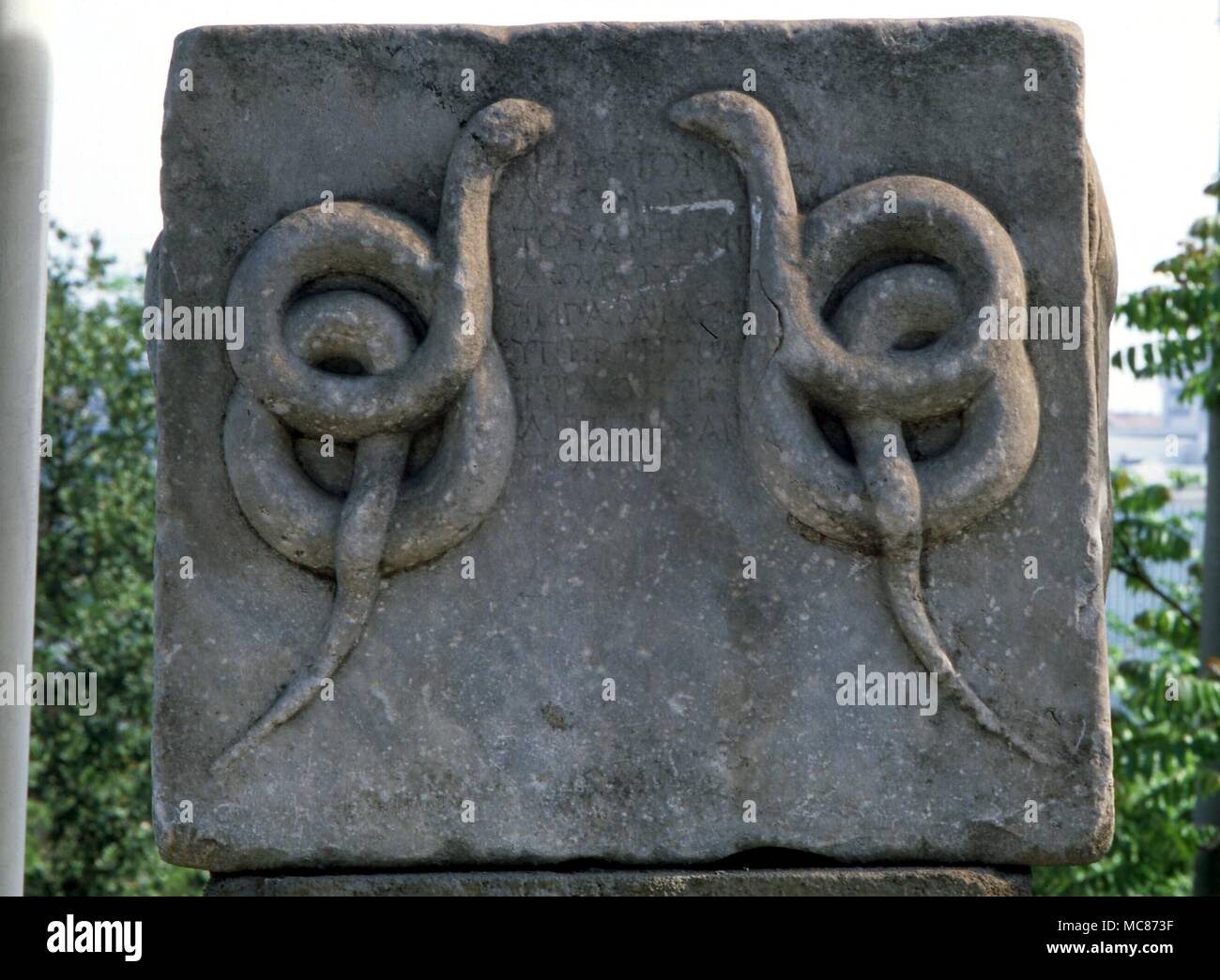 Animales - serpientes bajorrelieve de dos serpientes del culto de Asclepio. Anteriormente desde el temenos del Templo dice haber sido construido por Nerón, cerca de Esmirna, en Turquía. Ahora en los jardines del Museo de Arqueología, Ismir Foto de stock