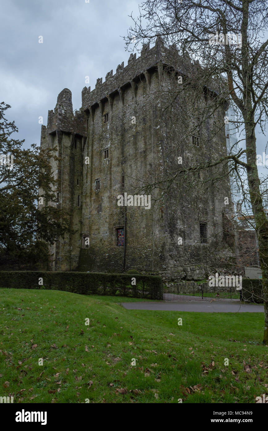 Castillo Blarney en Cork Foto de stock