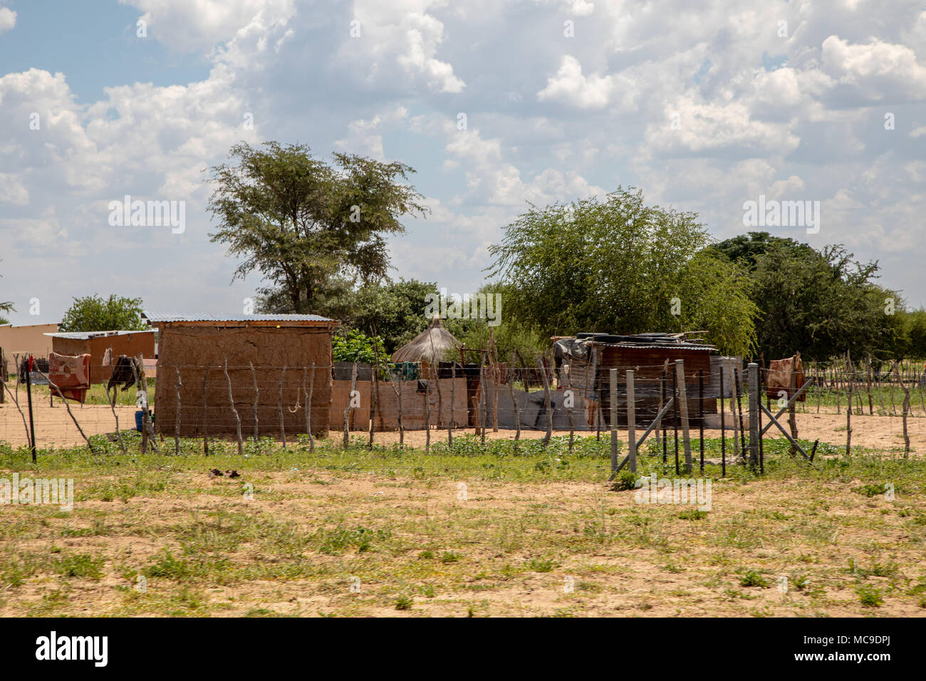 El paisaje de la región Ghanzi en Botsuana durante el verano Foto de stock
