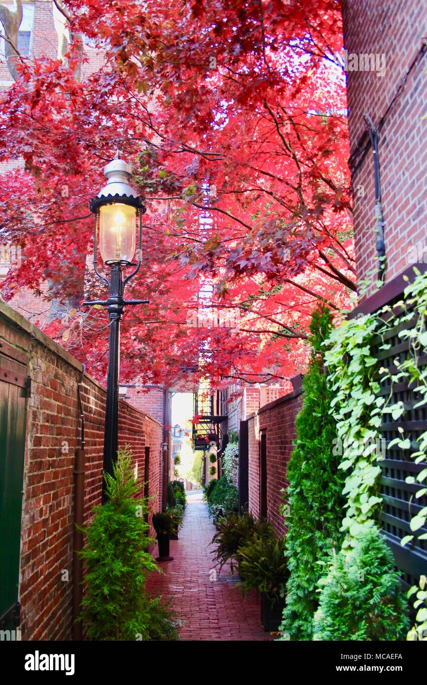 Callejón en Boston con coloridas hojas en otoño Foto de stock