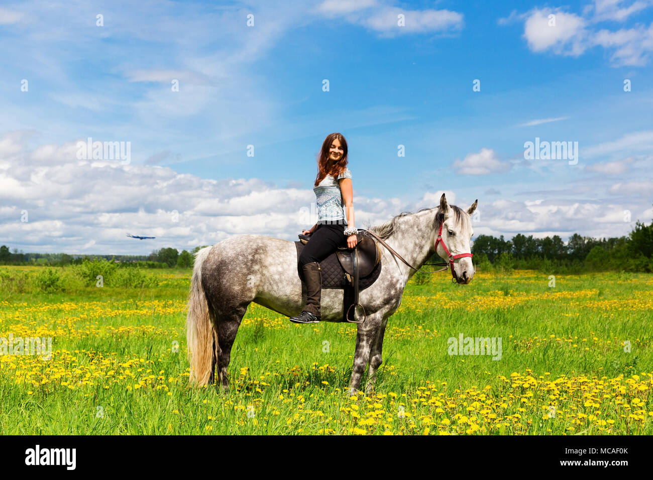 Mujer montando caballo gris en el campo Foto de stock
