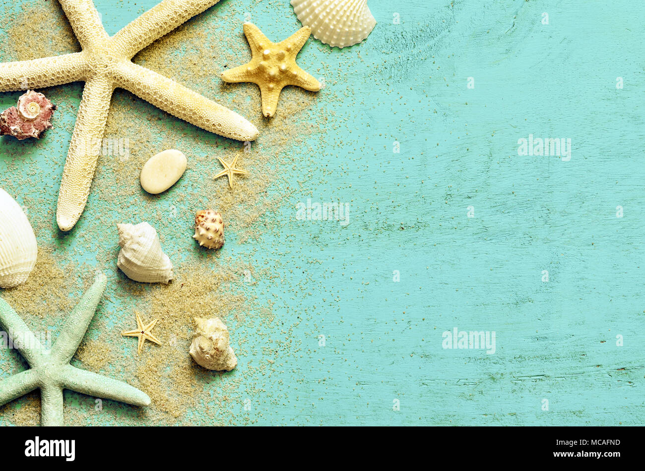Fondo de estrellas de mar fotografías e imágenes de alta resolución - Alamy