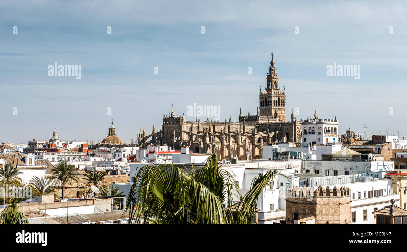Con vistas a la ciudad, con la catedral de Sevilla, Sevilla, Andalucía, España Foto de stock
