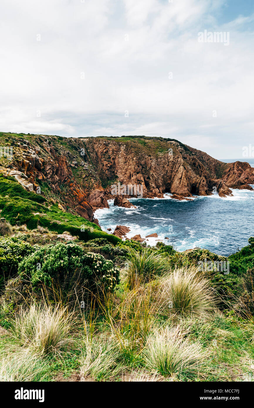 Cabo Woolamai, Phillip Island, Victoria, Australia Foto de stock