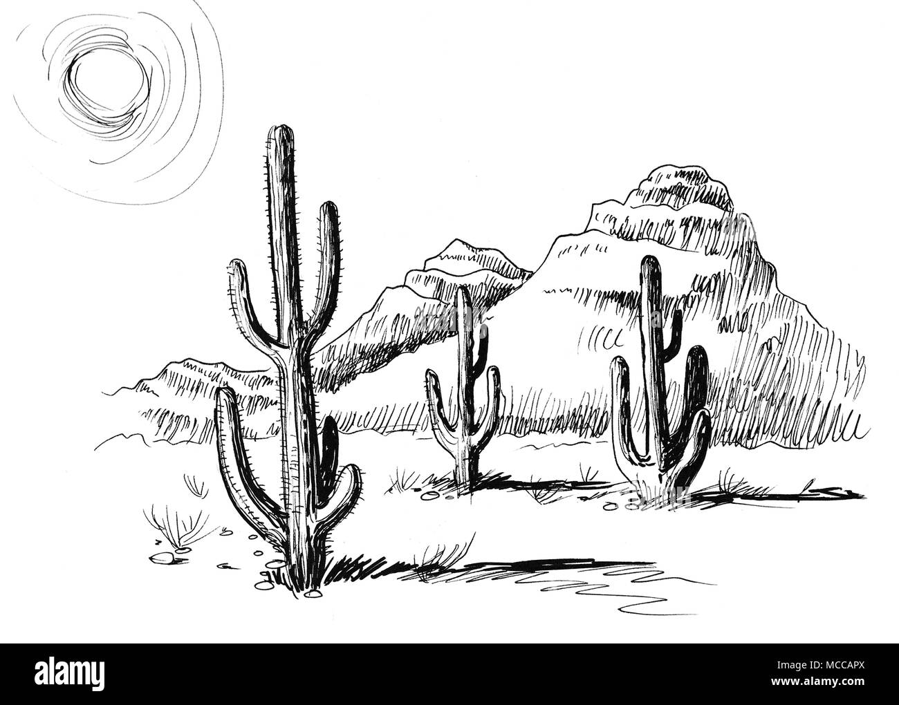 Dibujo de cactus del desierto fotografías e imágenes de alta resolución -  Alamy