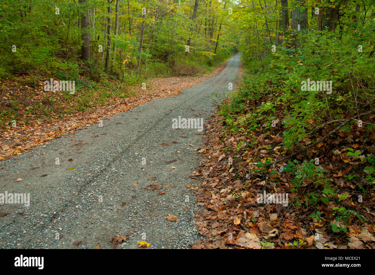 Camino de tierra, el Appalachian National Scenic Trail, Stanley Works Cooperativa Área de Manejo de Vida Silvestre, Connecticut Foto de stock