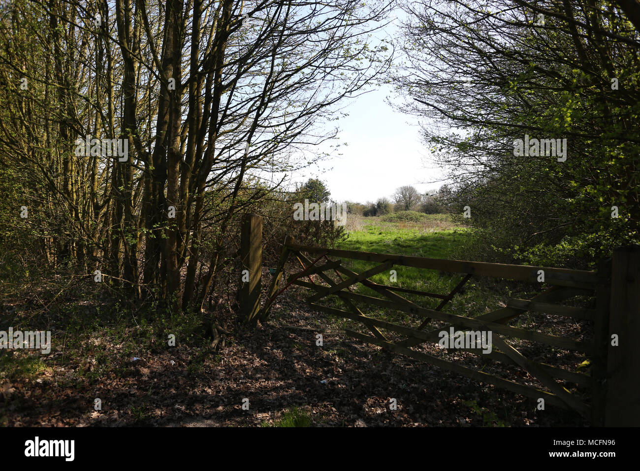 Una hermosa vista de la campiña con una puerta y árboles justo a las afueras de Chichester, West Sussex, Reino Unido. Foto de stock