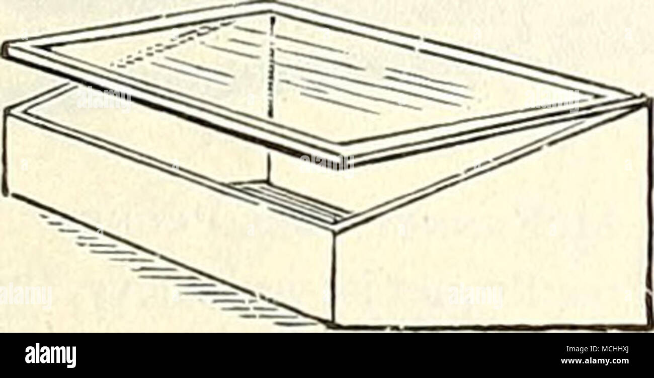 Casa Casa de bastidor bastidor de semillas de semillas. 12 x 16 pulg., para  elevar las plantas jóvenes. 2 50 Dreer especial de cuchilla en ciernes, nº  6 Asa de celuloide,