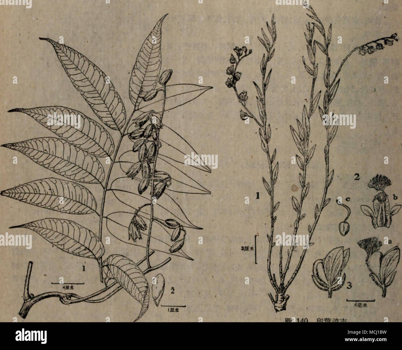 1800 Ac Fotos E Imagenes De Stock Alamy