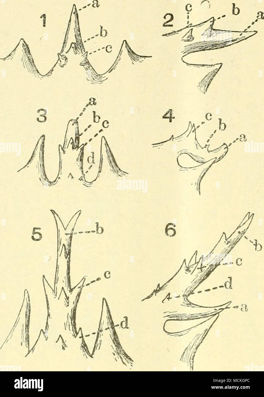 1a 1e Fotos E Imagenes De Stock Alamy