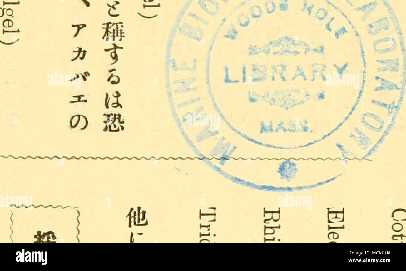 1110 Mu Il Ce Tlalus Cuvlel Ae E A A Ae Ae A A aa Aªaaa A Aºaµ Jordania Cottus Kazils Amp Tiburones Ae E a Aª Eleotns Oxycelfrala T Ecqmlnck Amp Scjalewel Ae E A A C Mhlnora Obius Simiiis Giil Ae E A Aª Trldenti Er Otoscurus
