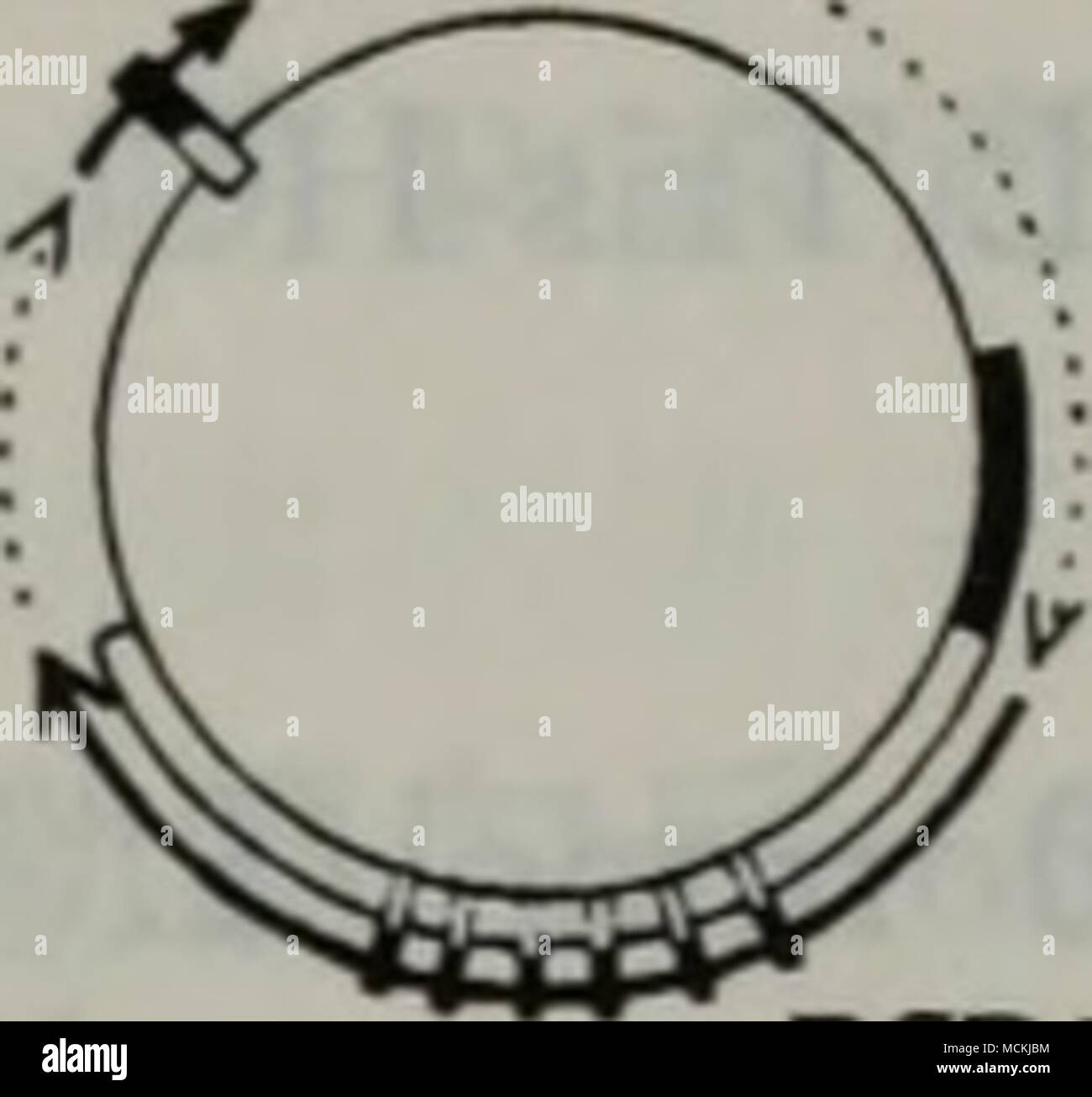 A Ce Fotos E Imagenes De Stock Pagina 6 Alamy