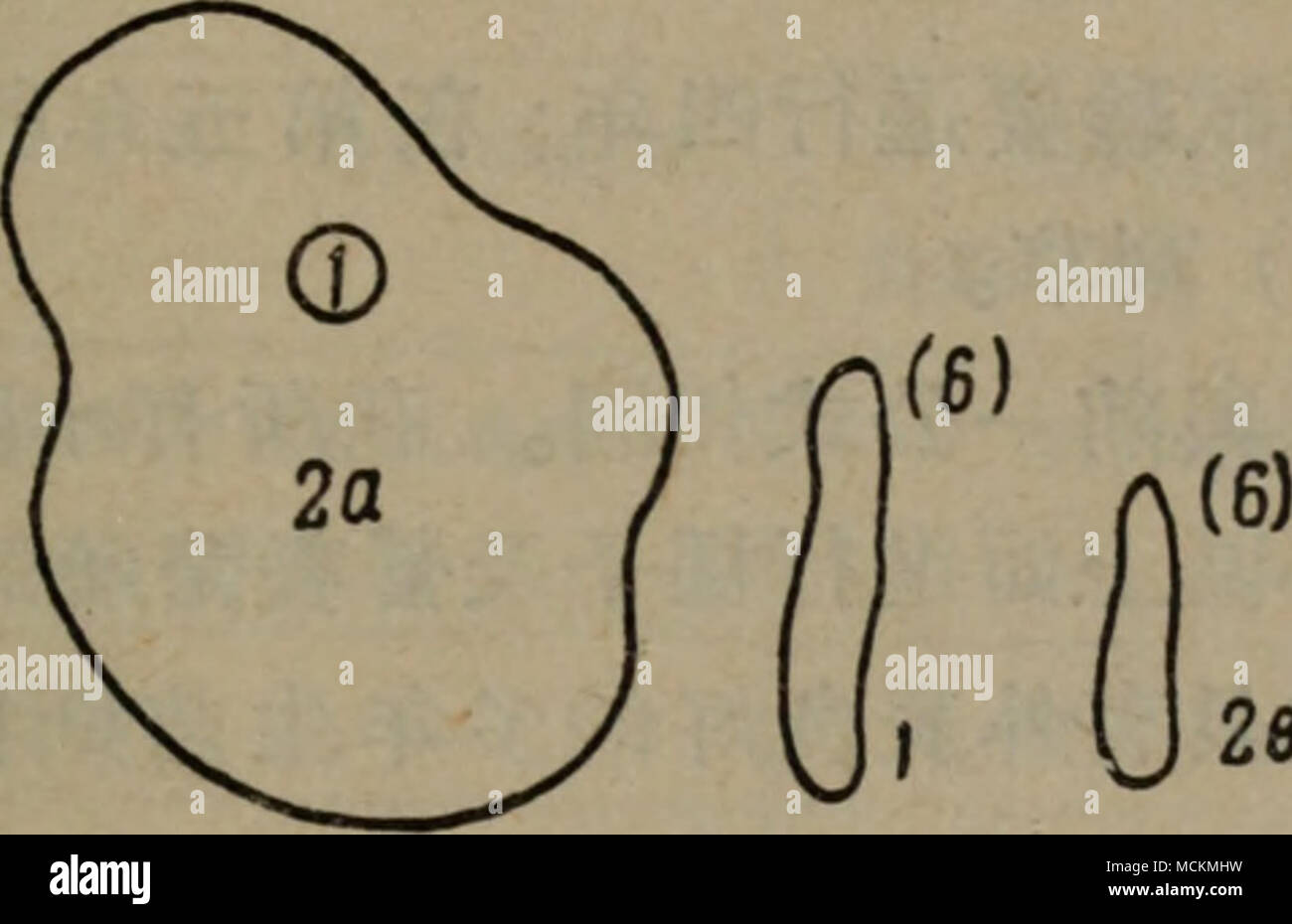 F K J 26 E13a Ae C C E C E Cae Ae ea A E A E Ae A I C C ºc E Ae 11 A A Ae Ce E Aeeae C C C Ae A e C C Ccae Ae 5 A C C ºc E Ae 11ae C C C E Cae C C 1a E Cwaµ A Aeae A C Ae A 195 E C A E Aºae 1c A Ae Ea E Mm A A Ae Aº Ae Ae ª
