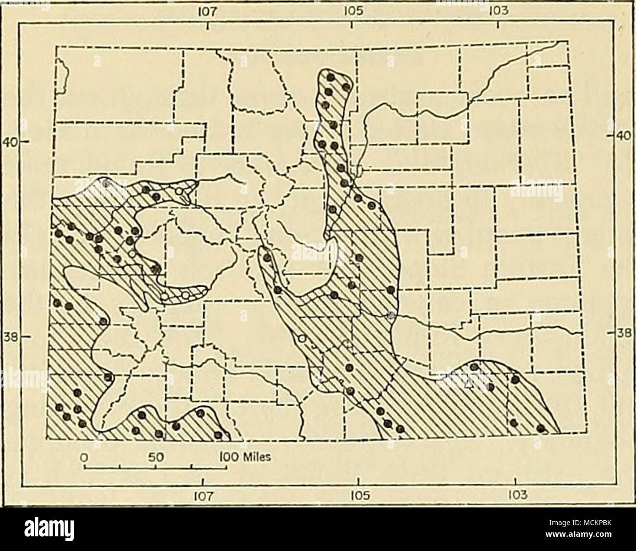 . Fig. 47. Distribución de Spermophilus variegatus grammurus en Colorado. Para obtener una explicación de los símbolos, véase pág. 9. Observaciones.-Warren (1906, 1908b, 1910b) mencionadas ardillas rock en varias localidades en el oeste de Colorado para la subespecie S. V. Utah. Howell (1938:145) asignado todos colo- rado especímenes de S. V. grammurus, tal como había sido sugerido por Cary (1911:87). La guerra- ren más tarde (1942:118) está de acuerdo con que el trata- miento. Todo el material de la Colorado examinadas por mí cae dentro del rango de variación visto en especímenes de grammurus desde el condado de las Ánimas. Si S. variegatus deberían ocurrir Foto de stock