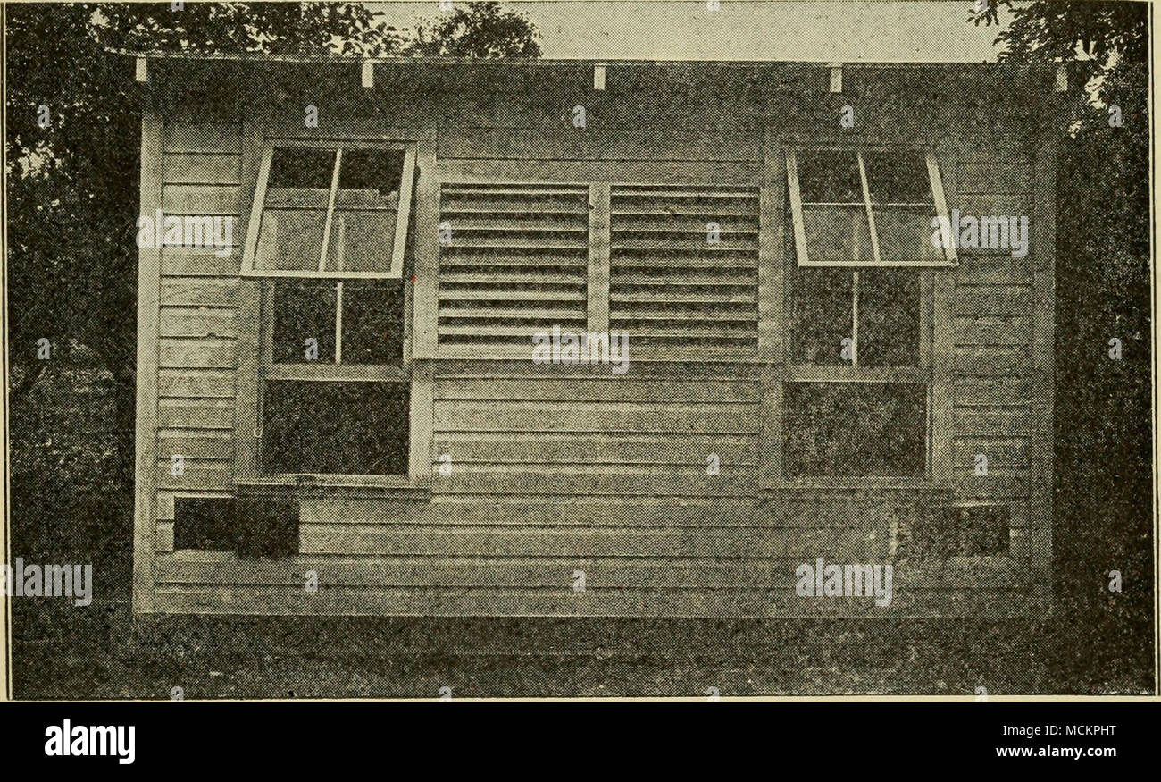 Vista frontal de una casa de colonias Fool-Prcof Quisenberry, mostrando la  guillotina superior levantado y salidas abiertas. Una casa ideal para back  lot la cría de aves de corral. Completar los