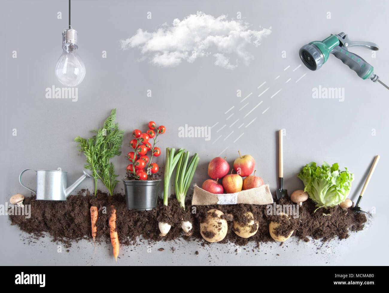 Las frutas y hortalizas que se cultivan en el abono incluyendo zanahorias,  champiñones, patatas y lechuga Fotografía de stock - Alamy