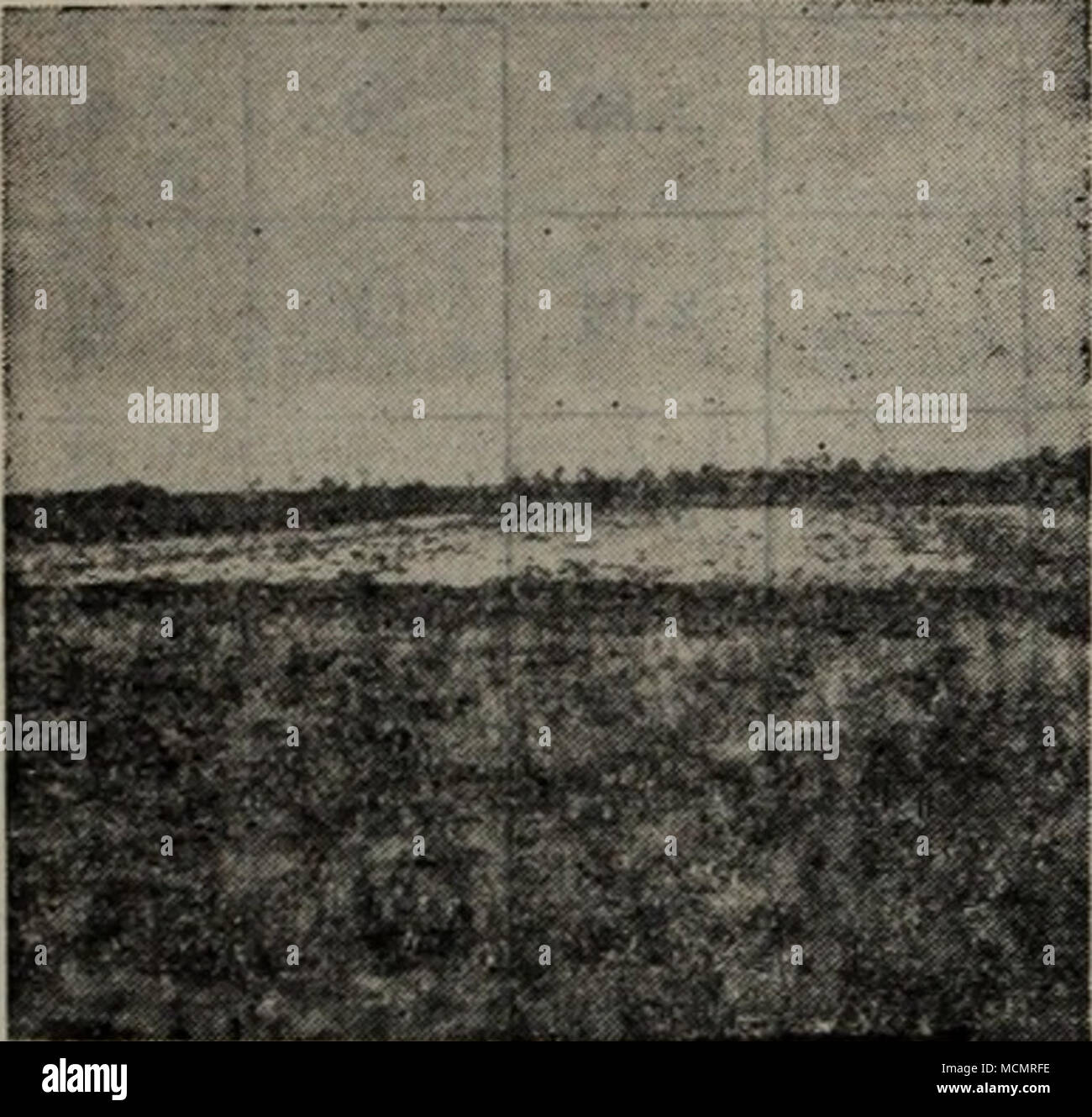 5 12a Fotos E Imagenes De Stock Pagina 2 Alamy