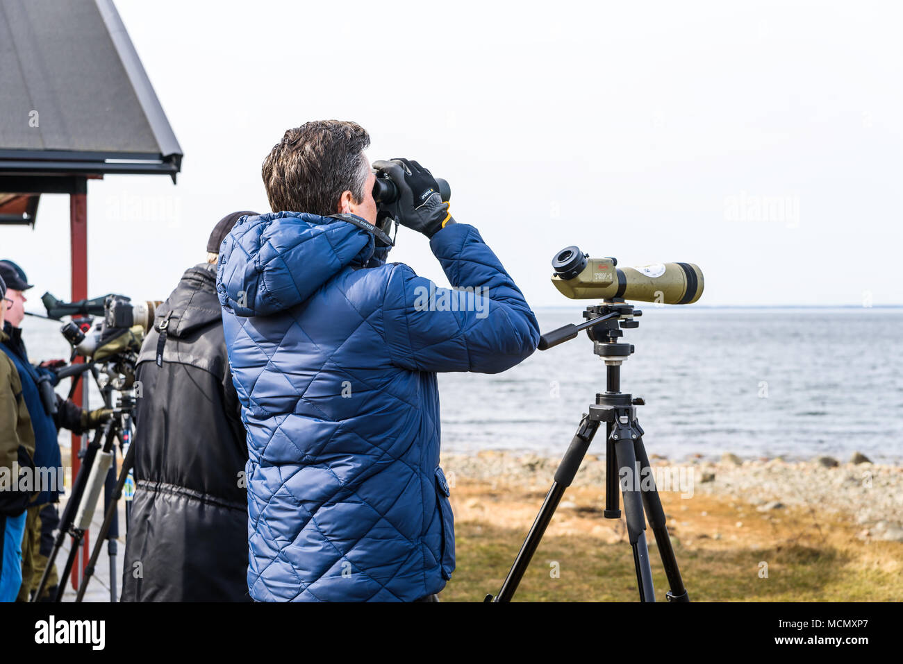Stora ror, Suecia, 7 de abril de 2018: Documental de la vida cotidiana y el medio ambiente. Observador de aves macho en busca de aves migratorias regresan en la primavera de la USI Foto de stock