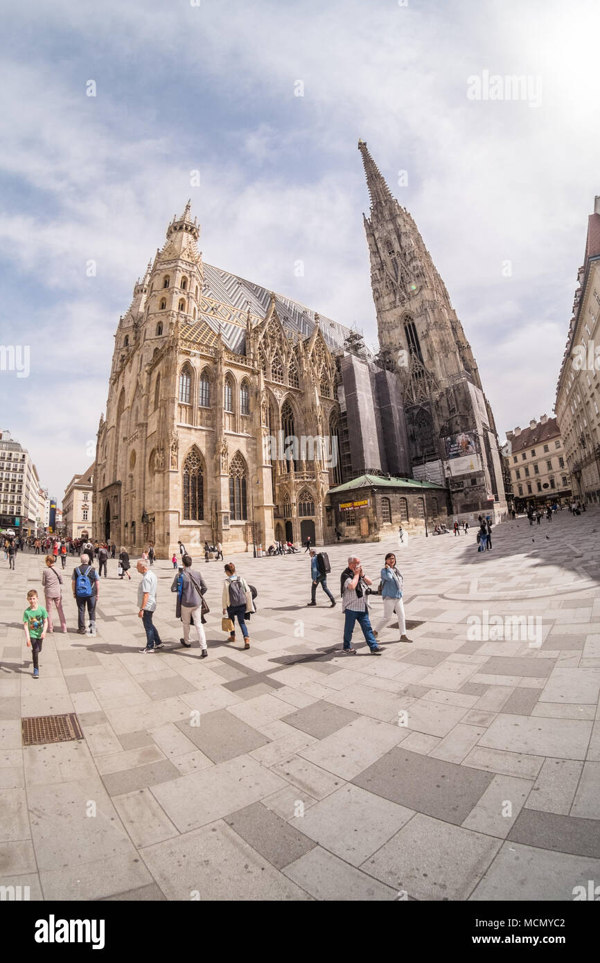 La Catedral de San Esteban, Sitio Patrimonio de la humanidad, Viena, Austria, Europa Foto de stock