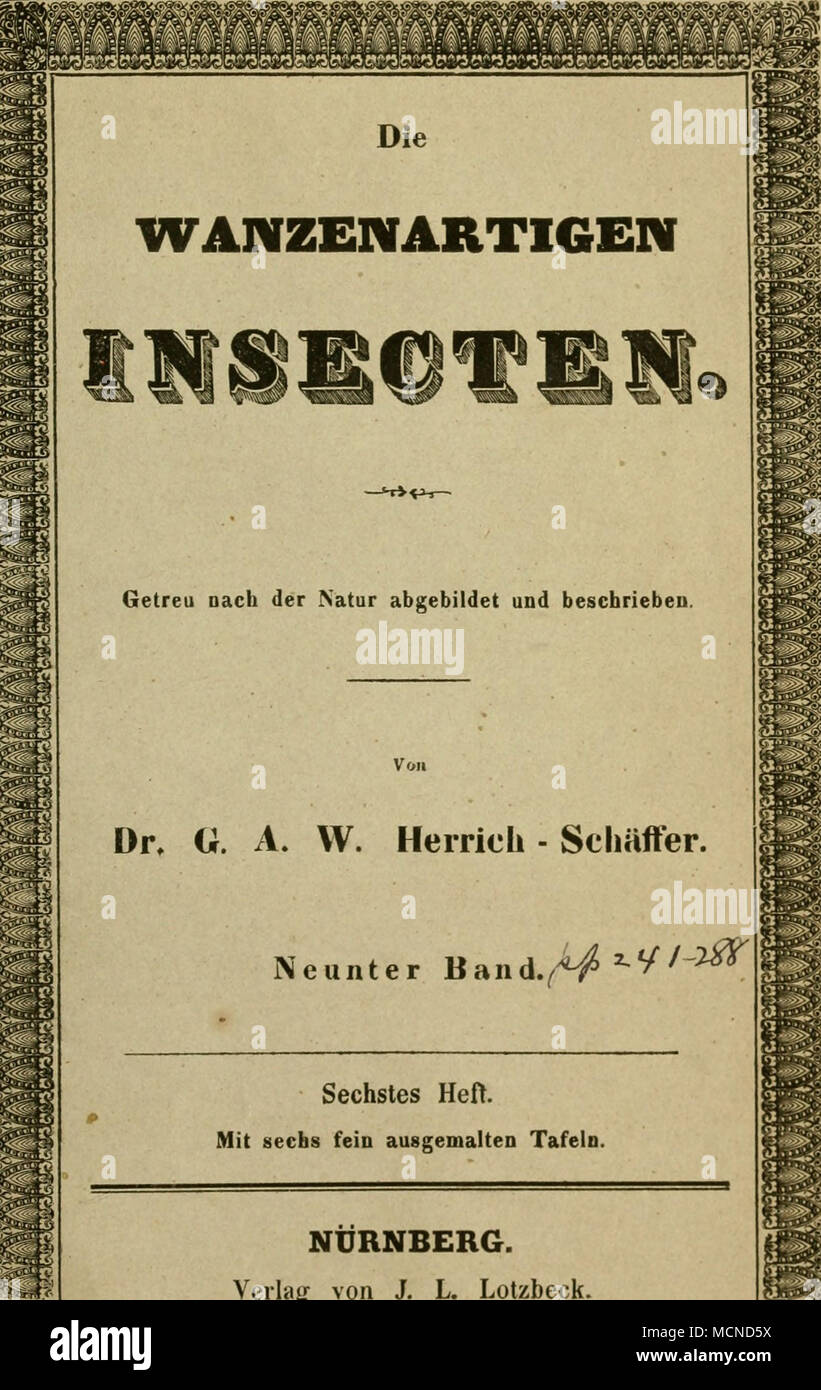 . O. A. W. Herrieii dn - Scliäffer. Neunter Band./"^^ ^ ^^^^ Sechstes Heft. Mit ausgemalten Tafeln sechs fein. Nuremberg. Verlag von J. L. Lotzbeck. 1851. Foto de stock
