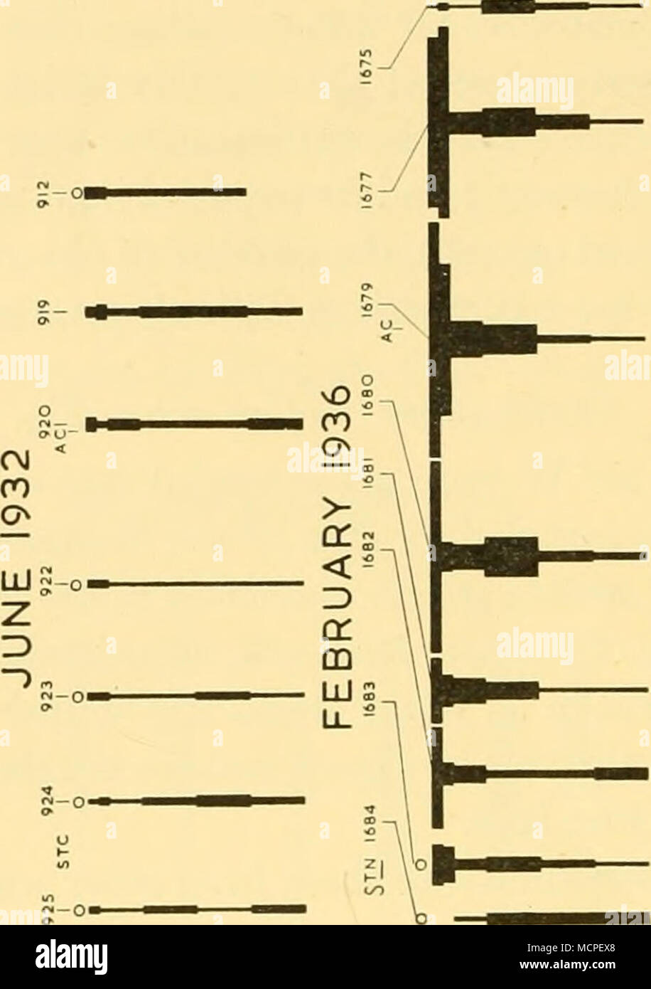 Nosotros V Tfi Lt A J3 C O B F M C5 Cd M Gt Ma C O A A A Ib A G Gt A O X A Lt A Z A A