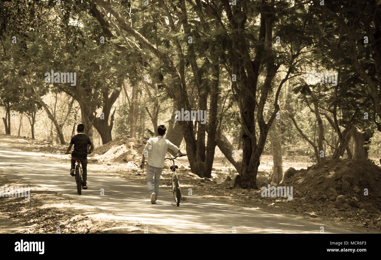 Un paseo por el bosque, ciclismo a través del parque nacional. Foto de stock