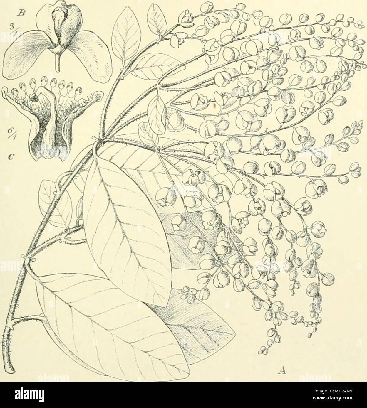 Download Morir wichtigsten bestandteile eines guten charakters sind Desktop Wallpaper Morir Wichtigsten Bestandteile Eines Guten Charakters Sind