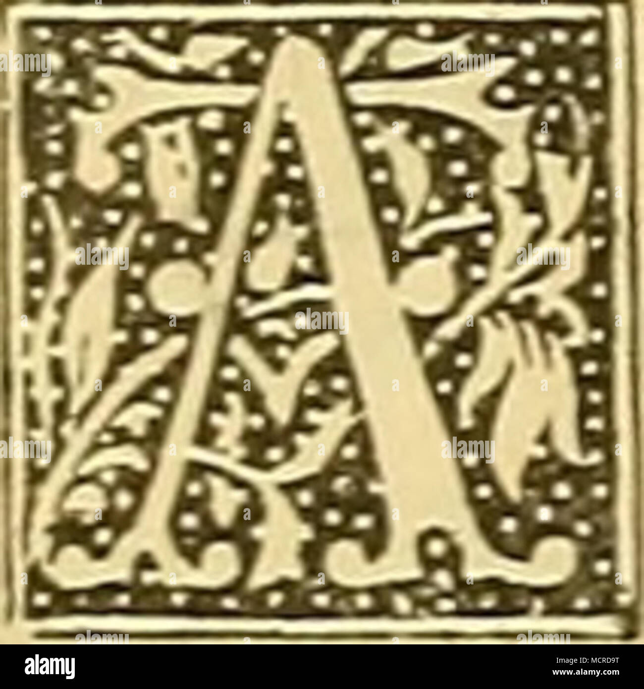 Download Sprueche opfer For Free