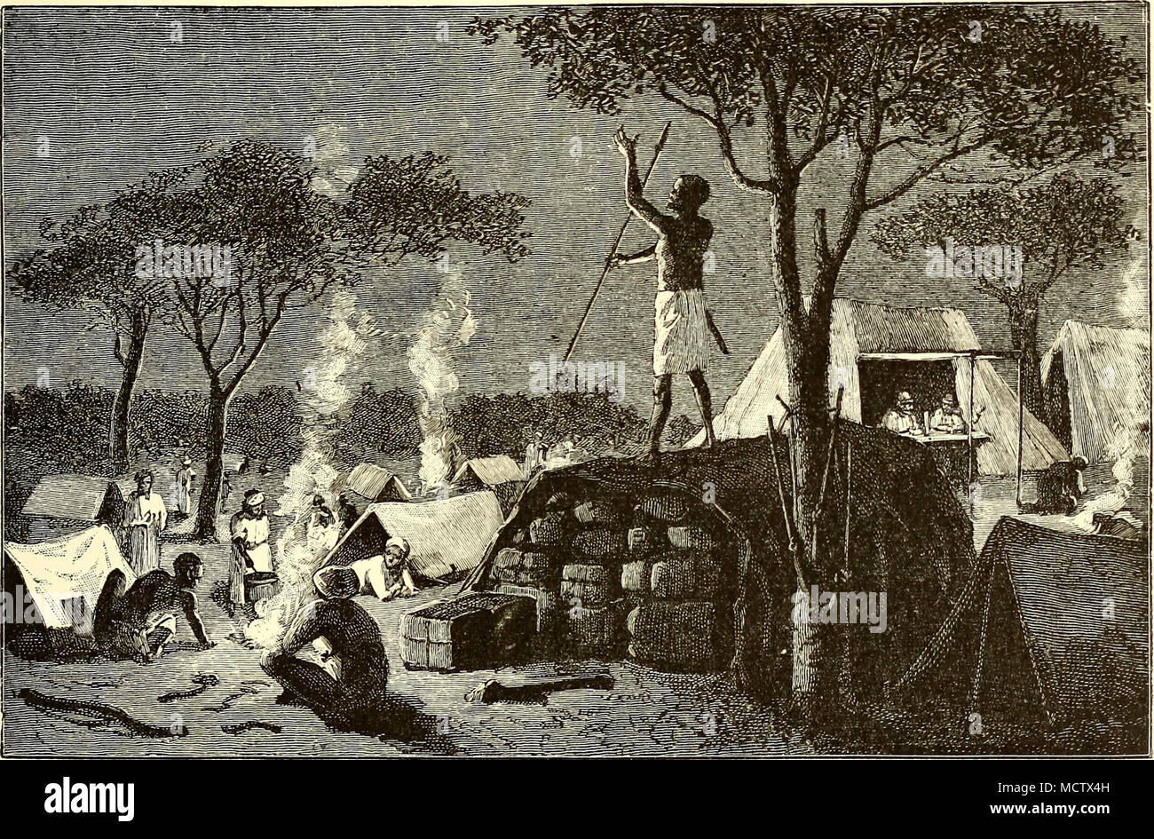 . SOKONI DISERTA. A la mañana siguiente fuimos a través de la estepa corta la hierba del valle en dirección norte a lo largo de la base de la montaña hasta Elmaroroj llegamos a un valle lateral desde la que emite un arroyo que fluye en dirección sur. Aquí el suelo era cubierto con capa de hierba verde suave como no habíamos visto desde hace mucho tiempo, y nuestros animales estaba tan emocionada por lo que el Conde decidió poner fin a su cuenta. Un búfalo vaca había disparado por el camino bastó para que la mitad de las raciones para el partido en su totalidad, por lo que hemos sido capaces de gestionar la ruptura Foto de stock