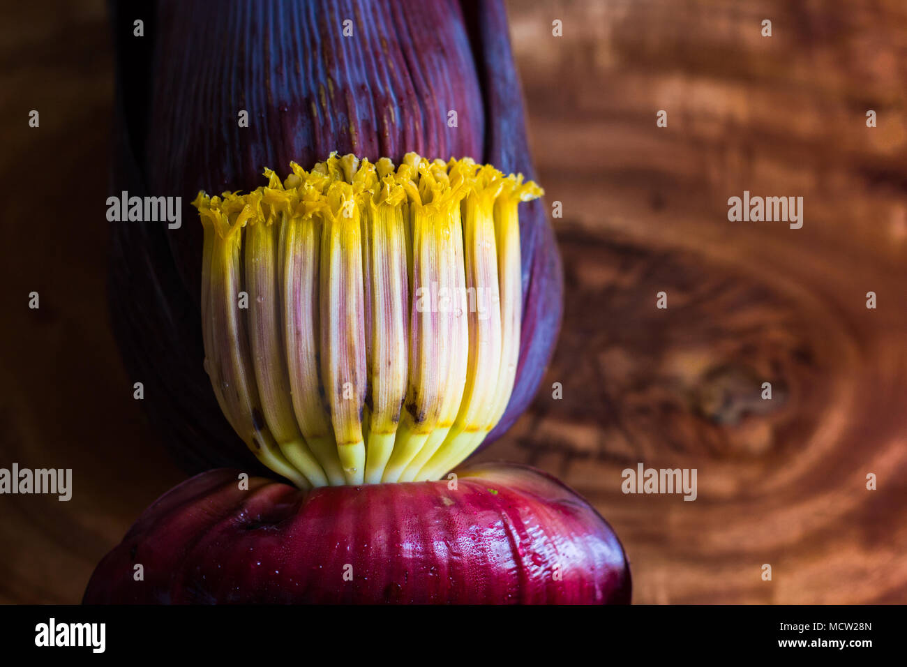 Flor de banano mocha, flores de plátanos verdes en fondo de madera con espacio para copiar texto. Foto de stock